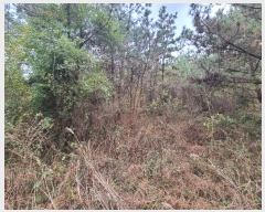  2024Ÿ35809  ֽ  õ 63-3      (Ӿ)