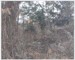  2024Ÿ35809  ֽ  õ 63-3      (Ӿ)