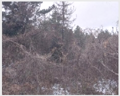  2024Ÿ35809  ֽ  õ 63-3      (Ӿ)