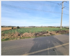  2024Ÿ36079    ŵ 33      (1)