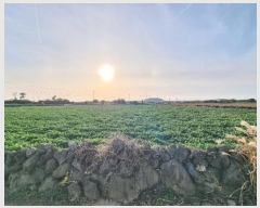  2024Ÿ36079    ŵ 33      (1)