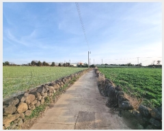  2024Ÿ36079    ŵ 33      (1)