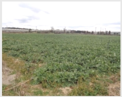  2024Ÿ36079    ŵ 33      (1)