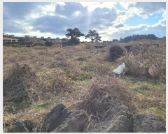  2024Ÿ36611  ֽ Ѹ  645      (1)