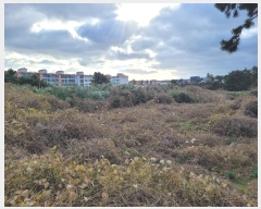  2024Ÿ36611  ֽ Ѹ  645      (1)