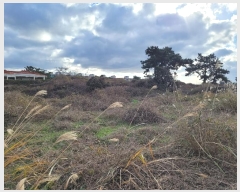  2024Ÿ36611  ֽ Ѹ  645      (1)