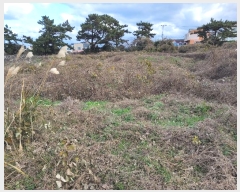  2024Ÿ36611  ֽ Ѹ  645      (1)