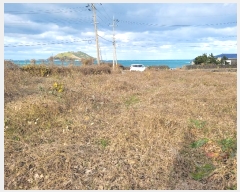  2024Ÿ36611  ֽ Ѹ  645      (1)