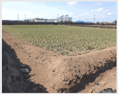  2024Ÿ��37133  �����