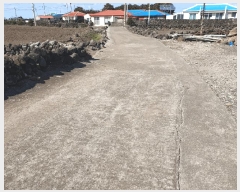  2024Ÿ37133  ֽ 쵵  1021      ð