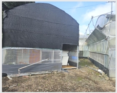  2024Ÿ��7323 ���� �������� ǥ���� ���ø� 1287      ����,â�����