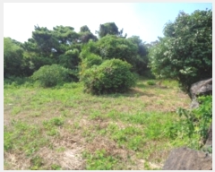  2024Ÿ7736  ֽ Ѱ  702      (1)