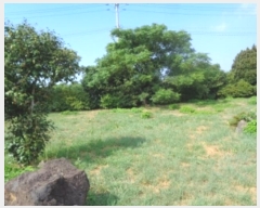  2024Ÿ7736  ֽ Ѱ  702      (1)