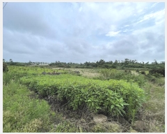  2024Ÿ8005  ֽ Ѱ  2236      (1)