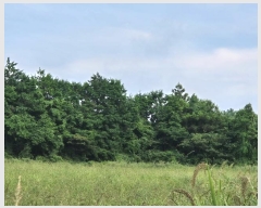  2024Ÿ��9350 ���� ���ֽ� �Ѹ��� �ݾǸ� 191-3      ����(�������)���