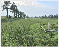  2024Ÿ��9350 ���� ���ֽ� �Ѹ��� �ݾǸ� 191-3      ����(�������)���