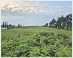  2024Ÿ��9350 ���� ���ֽ� �Ѹ��� �ݾǸ� 191-3      ����(�������)���