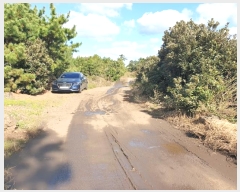  2024Ÿ10435  ֽ  ȭ 490      (Ӿ)