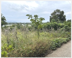  2024Ÿ11872   ǥ ø 842-10      (1)