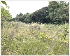  2024Ÿ11872   ǥ ø 842-10      (1)