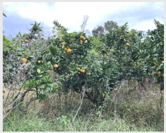  2024Ÿ11872   ǥ ø 842-10      (1)