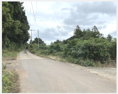  2024Ÿ11872   ǥ ø 842-10      (1)