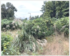  2024Ÿ11872   ǥ ø 842-10      (1)