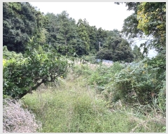  2024Ÿ11872   ǥ ø 842-10      (1)