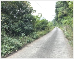  2024Ÿ11872   ǥ ø 842-10      (1)