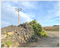  2024Ÿ12257  ֽ ֿ ֿ 1947-1      ,繫ǰ