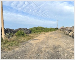  2024Ÿ12257  ֽ ֿ ֿ 1947-1      ,繫ǰ