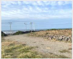  2024Ÿ12257  ֽ ֿ ֿ 1947-1      ,繫ǰ