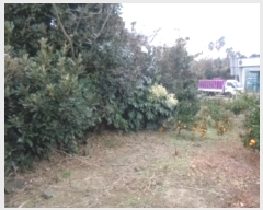  2024Ÿ��13496 ���� ���ֽ� �Ѱ�� û���� 1725-9      ����(��1)���