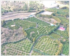  2024Ÿ��13762 ���� ���ֽ� ��õ�� ���긮 3557      ����(������)���