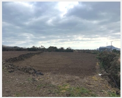  2024Ÿ13847  ֽ 쵵  1999-2      (1)