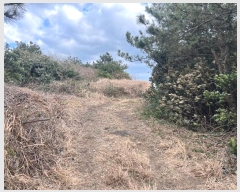  2024Ÿ13847  ֽ 쵵  1999-2      (1)