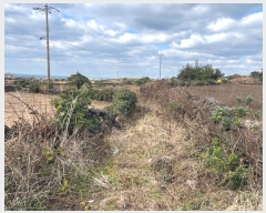  2024Ÿ13847  ֽ 쵵  1999-2      (1)