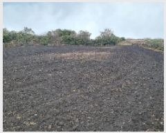  2024Ÿ13847  ֽ 쵵  1999-2      (1)