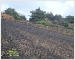  2024Ÿ13847  ֽ 쵵  1999-2      (1)