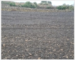  2024Ÿ13847  ֽ 쵵  1999-2      (1)