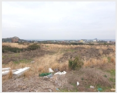  2024Ÿ20548   ȴ 踮 269      (1)