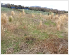  2024Ÿ20548   ȴ 踮 269      (1)