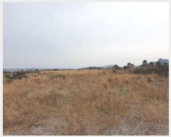  2024Ÿ20548   ȴ 踮 269      (1)