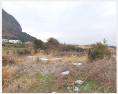  2024Ÿ20548   ȴ 踮 269      (1)