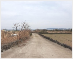  2024Ÿ20548   ȴ 踮 269      (1)