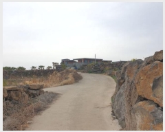  2024Ÿ20548   ȴ 踮 269      (1)