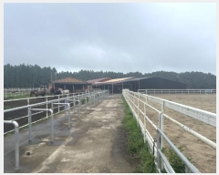  2024Ÿ��30927 ���� ���ֽ� ������ ��縮 861      ����,â�����