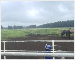  2024Ÿ��30927 ���� ���ֽ� ������ ��縮 861      ����,â�����