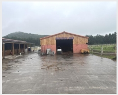  2024Ÿ��30927 ���� ���ֽ� ������ ��縮 861      ����,â�����