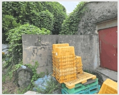  2024Ÿ32633    ︮ 124-1      (1)